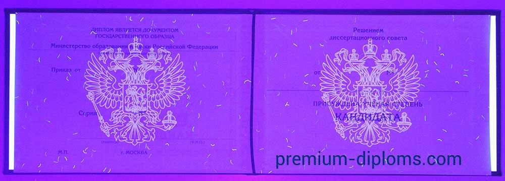 Диплом кандидата наук фото